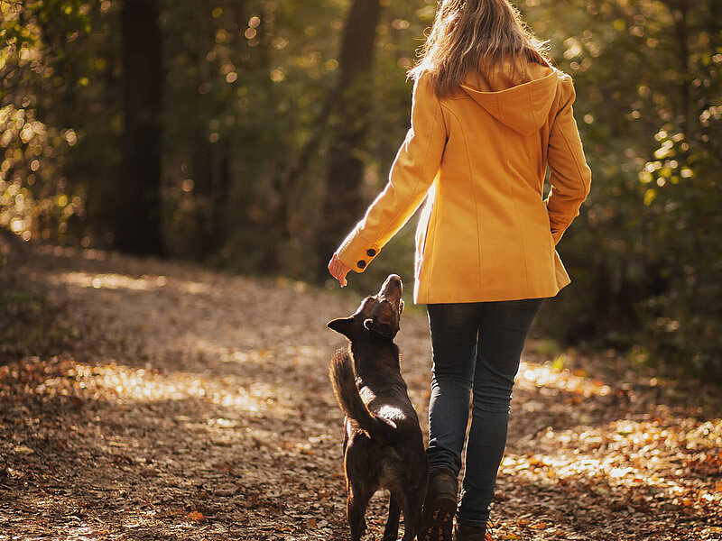 eine Frau von hinten mit einem Hund