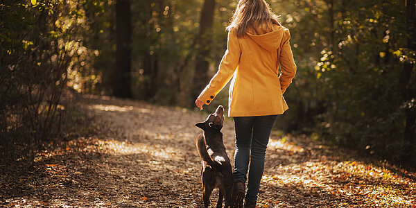 eine Frau von hinten mit einem Hund