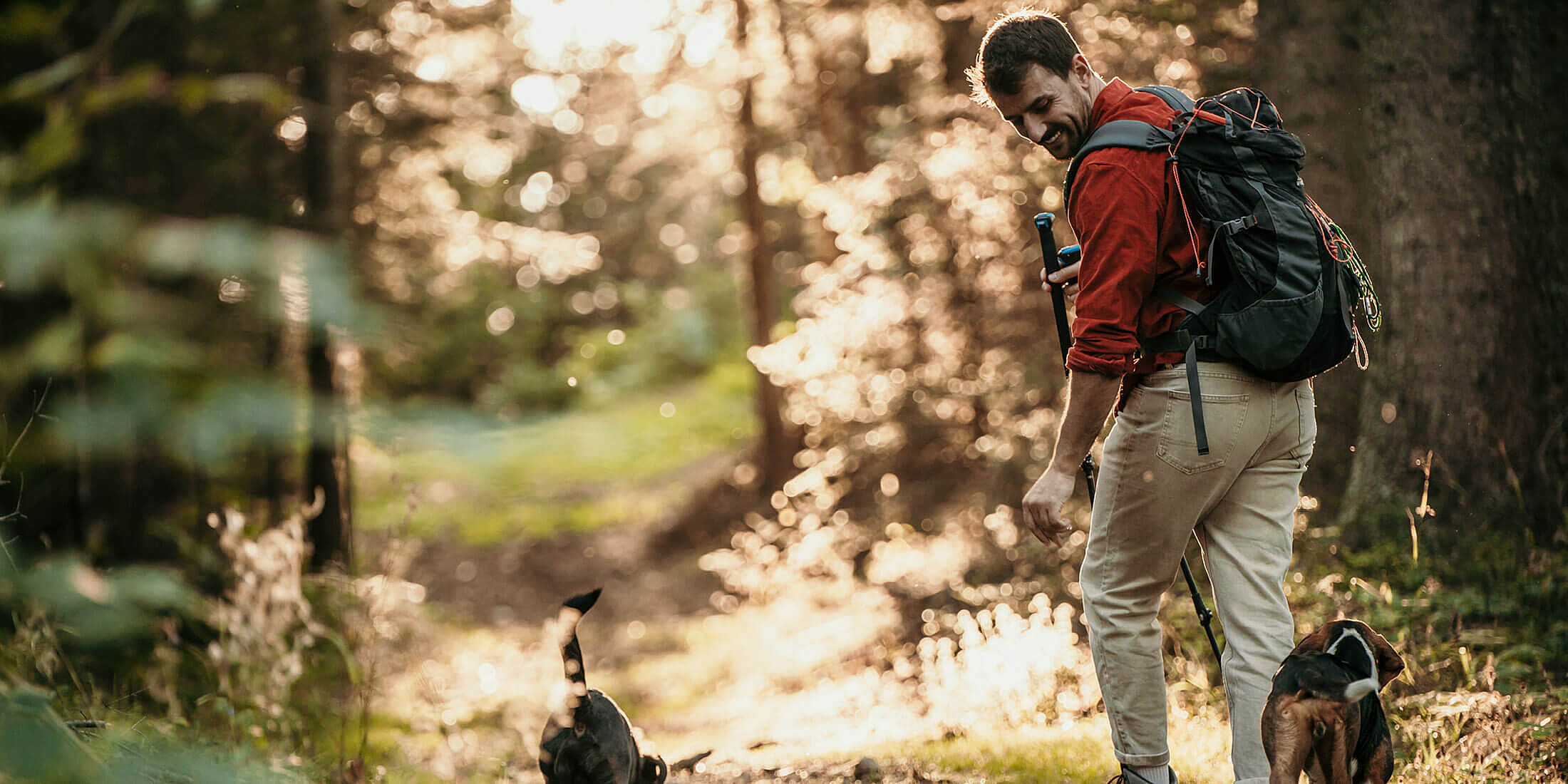 Ein Mann läuft mit seinem Hund durch den Wald