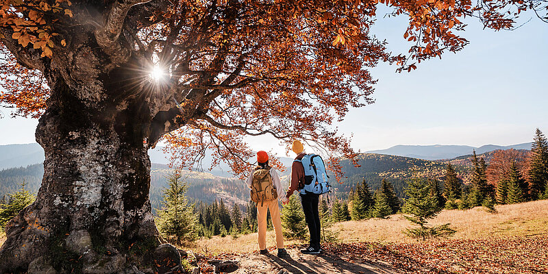 Zwei Menschen stehen unter einem Baum im Herbst